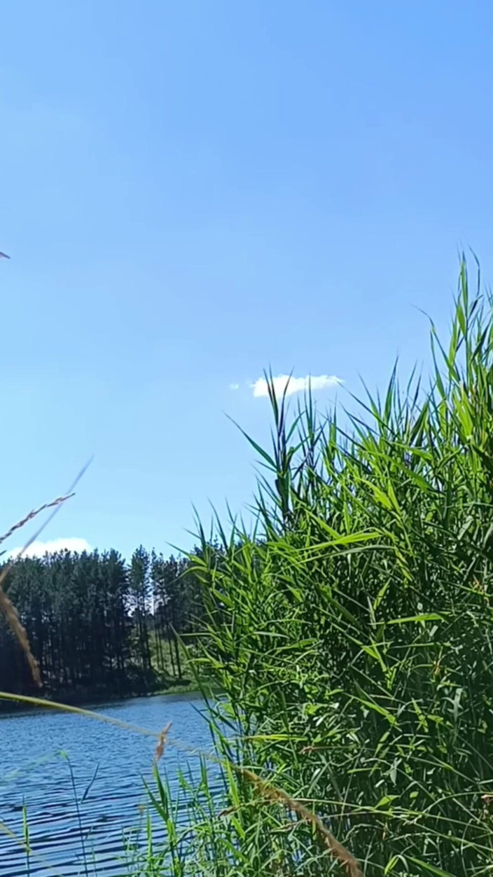 Ole63: Mă relaxez lângă lac, într-un loc pustiu.