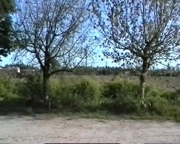 GERMAN PORN CLASSICS: Fucking Outdoors