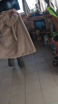 Golden Dress, Fur & Smoking - Hairy Pussy, Deep Blowjob & Hard Doggy on a Freezer