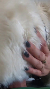 밀피칼라 오럴 모음집 다운재킷 및 퍼 코트 자지 빨고 옷 페티쉬