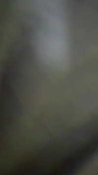 Hear Her Admit That She's Daddy Bitch