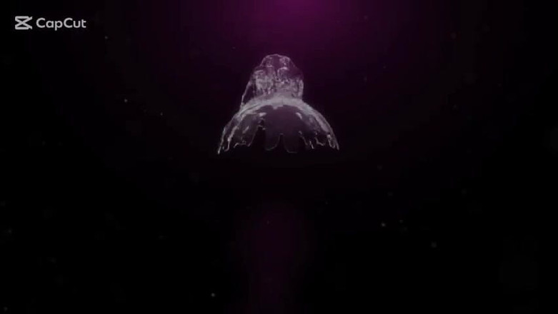 Africankween: Slimmy gemeu tão alto quando um pau grande desliza na...