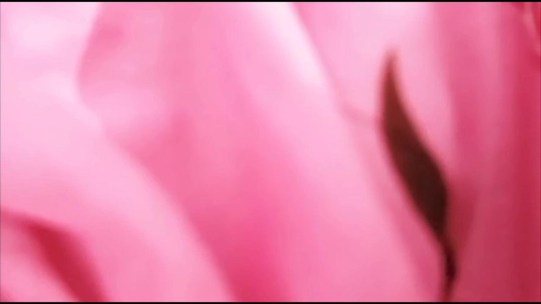 biharisonam: Desi Indian Kamwali Girl Fucking in Bedroom with Servant