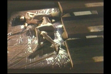 Bisco Birchwood Productions: Ďábel ve svém ~ klasickém pornu