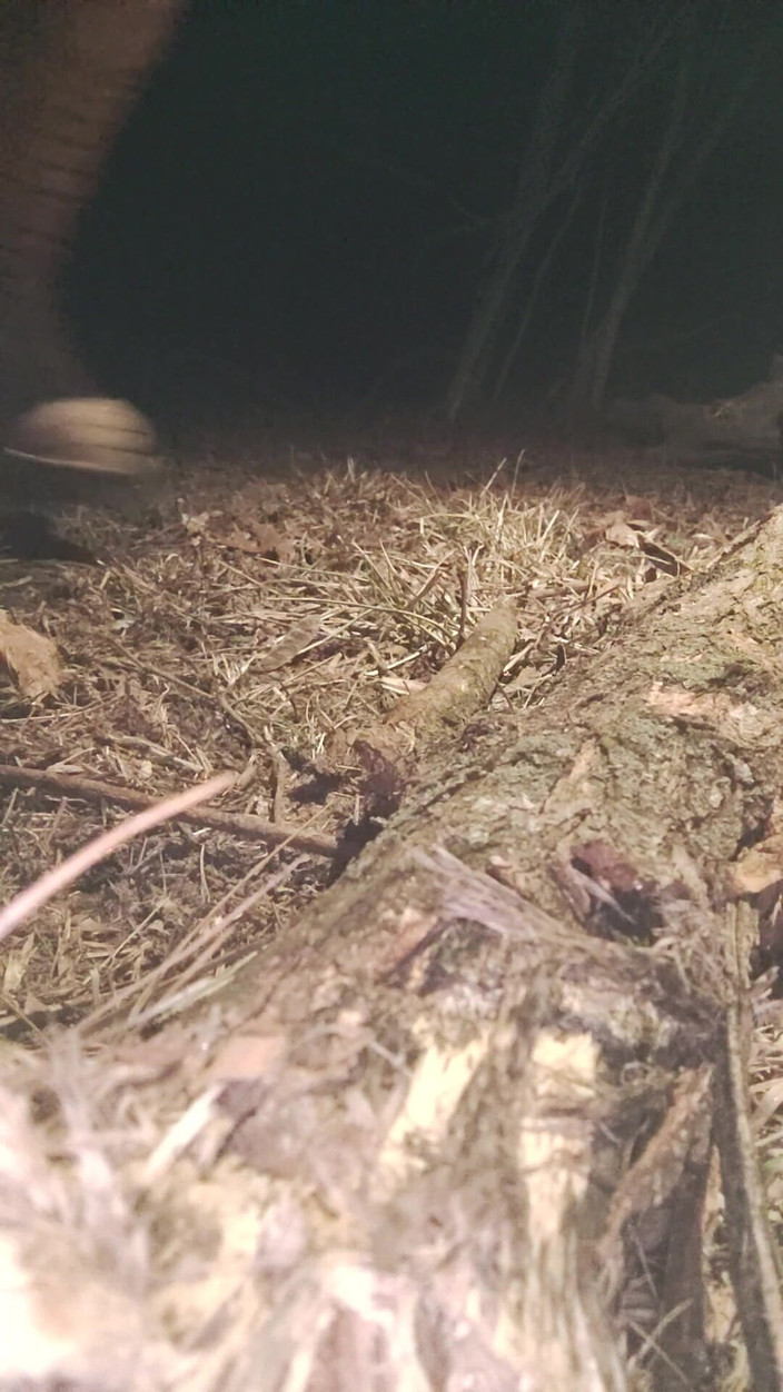 Kate kink: Auto-baisée