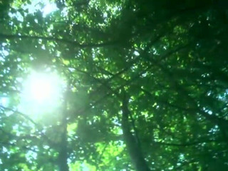 Java Consulting: Scéna 7: "sekretářka Bez Kalhotek" (1979) - Klasický XXX Klip