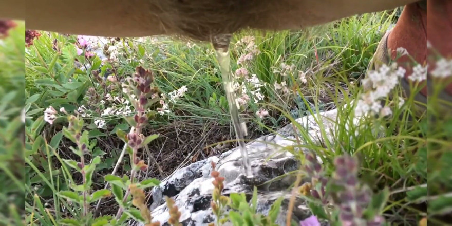 Miodelka: Compilation de pipi risqués dehors dans la nature