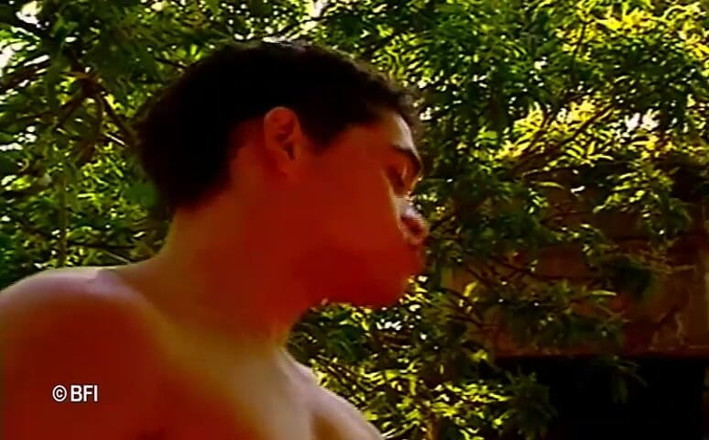Just Boys: De vieux partenaires gays, dans une scène de baise vintage...