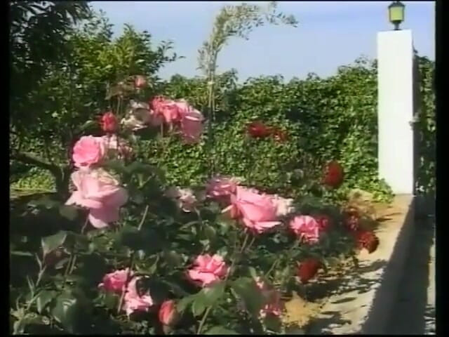 Real porno and movies XXX: 两个朋友在伊维萨岛度假，操热辣妹子。