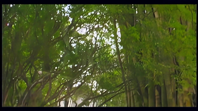 Adultunes: Luglio paiva anale nella foresta di bambù