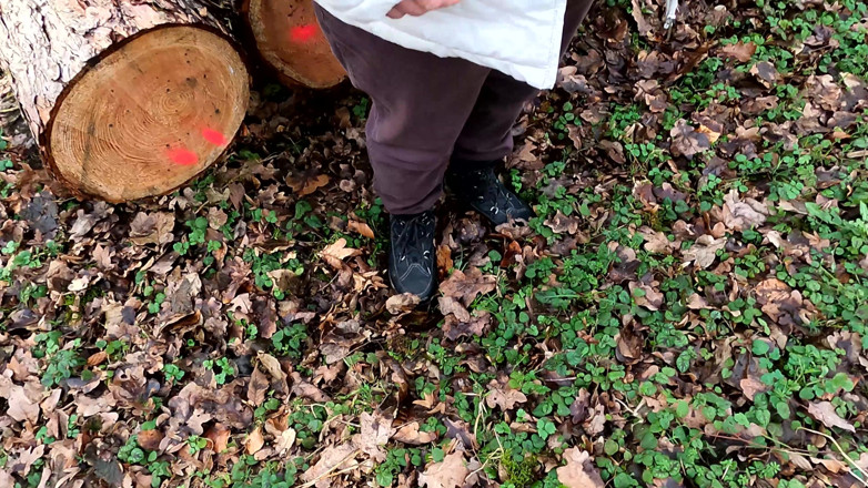 Bouncy Tits Action: Pussy Slapping Mit Dem Lineal Im Wald