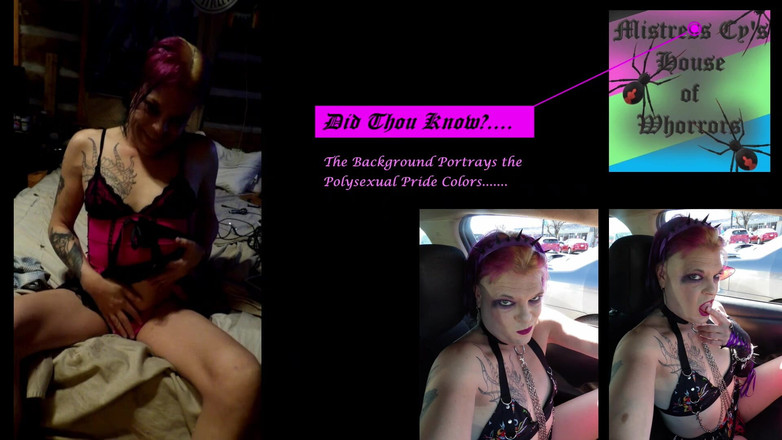 House of whorrors vault of darkness: Mistress Cy Car Wash Flash Tease, Then the Dirty Bitch...