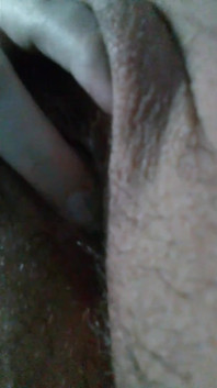 Seksi dev kadın mastürbasyon yaparken amını yüzüne sürtüyor