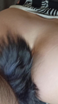 Housewife seduced with her plug tail and let her juicy pussy be fucked