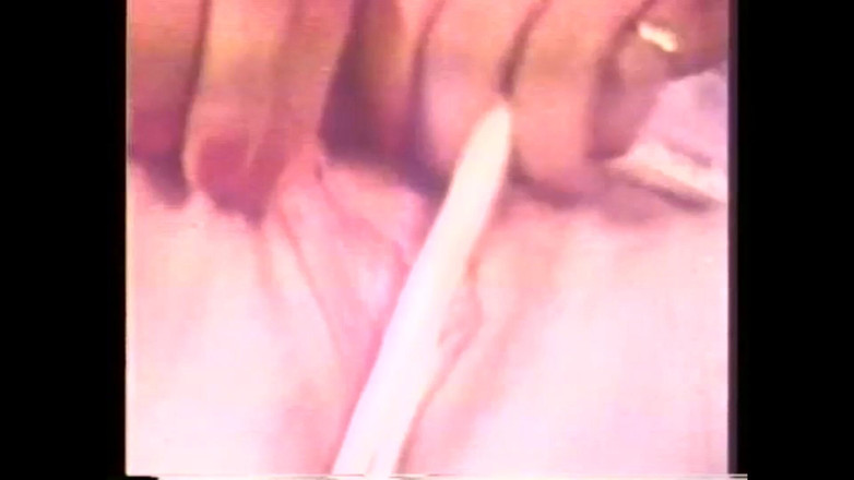 Vintage Usa: 레즈비언 이나모아르테