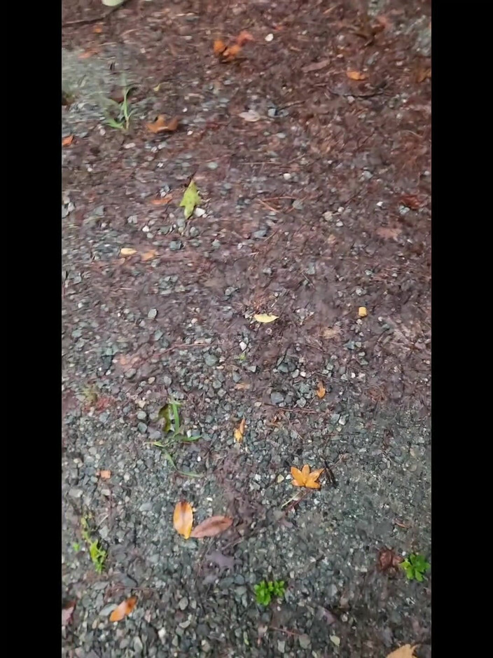 Djk31314: 走了一小段路