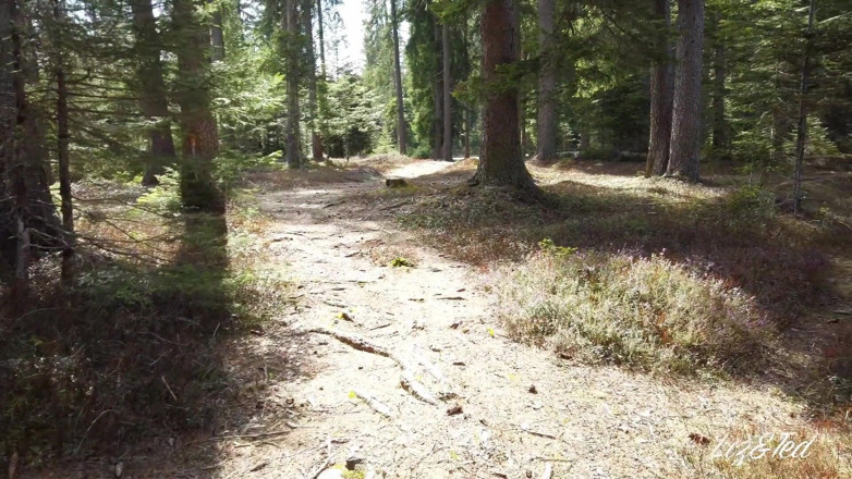 Lizandted: Wild sex in the woods