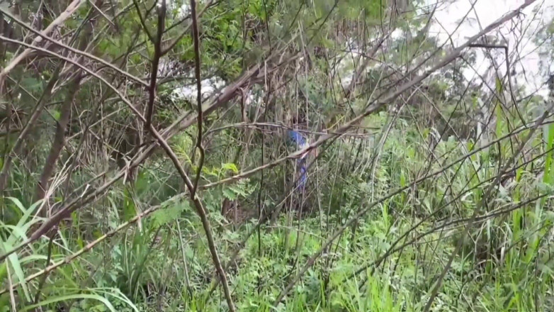 TheBlacKHunterr: 作業員が公園の前を通り過ぎて、