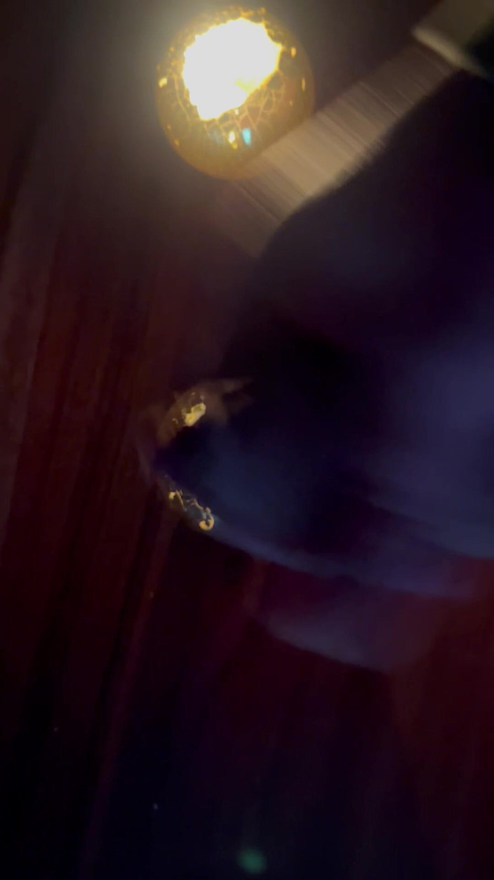 NastySecret666: Ohne Light