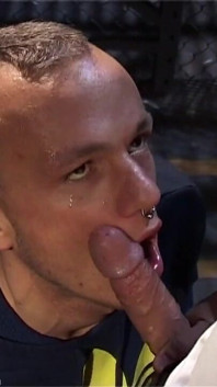 Skinhead świnia przejebane