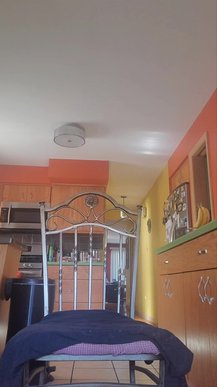 assman53: Thong-pumpThat Iron 2 of 2のAsspussyワークアウト