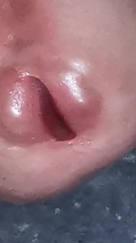 The Dick Growls at Its Owner