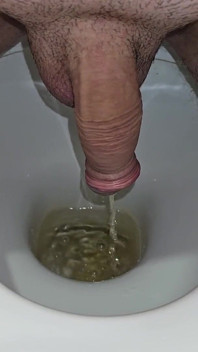 Male Peeing Into the Toilet