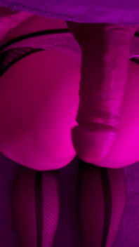 Original Assparadies