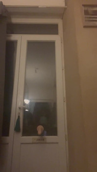 展览