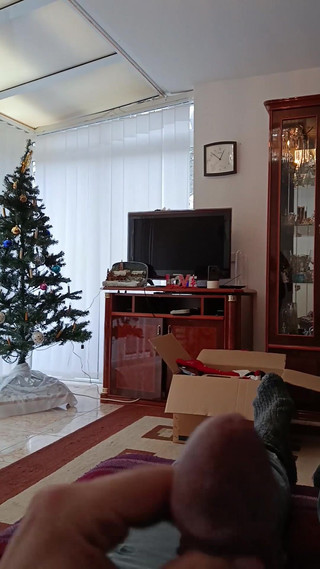 Asisa_oz: Pomáhal jsem svému nemocnému kamarádovi zdobit vánoční stromek