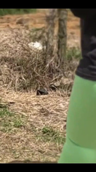 I Went for a Walk with My Friend's Stepmother and I Couldn't Stop Looking at Her Huge and Beautiful Ass in Yoga Pants