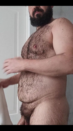 Ulysses the bear: Высыхание