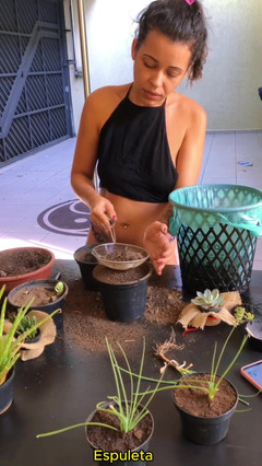 Espuleta Maia: Denní život kočičce - aranžování jejích rostlin