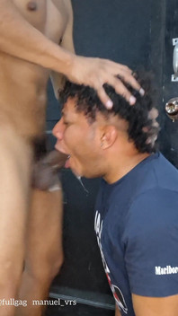 Maldito pau e mais pau