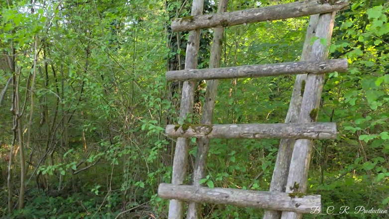 Malou-Nu: Perdido En El Bosque... Y De Repente Se Pone Peligrosamente...