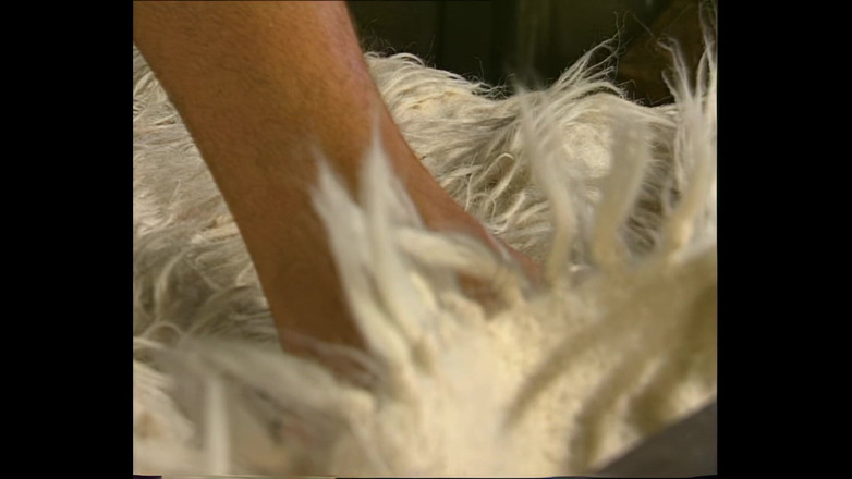 Vintage Megastore Full hd: अमांडा स्टील एक बड़े मुर्गा द्वारा अच्छी तरह से गड़बड़