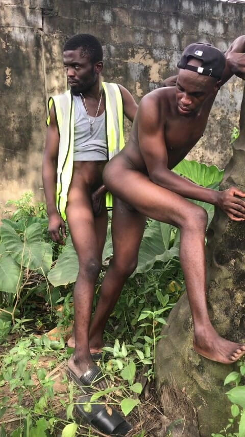 Sexydaddy: Sesso all'aperto dietro la palm tree è la fattoria