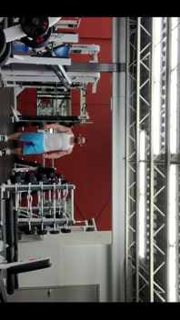 Going Commando di gim