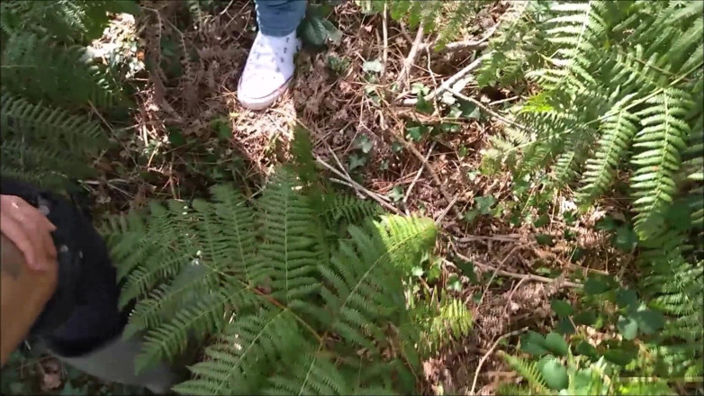 K Vw: Ongepland in het bos