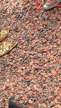 Essence Pieds on Convention Center Blvd