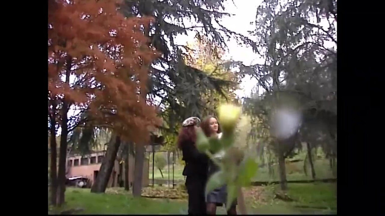 The Swingers & CO.: Lesvic Harabeleri (film)