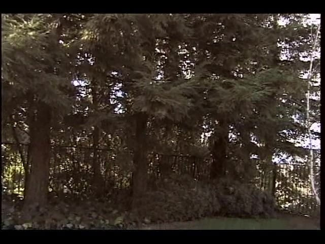 Screw My Wife Club: Screw my wife club: moglie scopata # 34