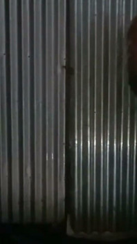 Vidéo Du Matin