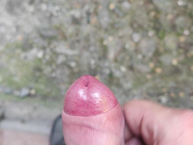My Big Dick 3 (Zaxui93)
