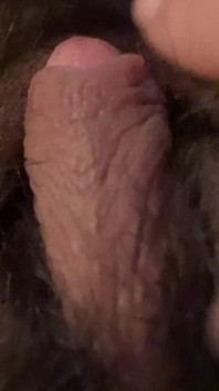 Jerking My Dick and Cumming Hard