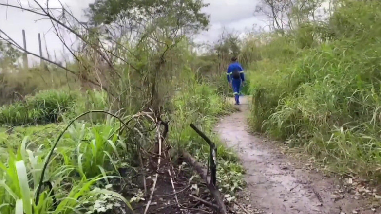 TheBlacKHunterr: Arbetaren gick förbi parken och fick en