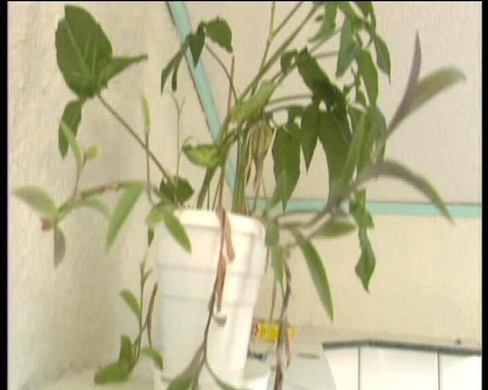 GOLDLIGHT - OFFICIAL: Рыжую немецкую милфу-домохозяйку с натуральными формами долбили дома