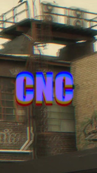 Cnc - When an Exhibitionist Discovers a Couple's Perversities