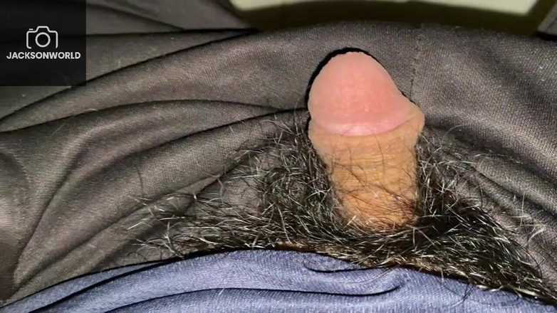 Jackson World: 静かな午後のエスケープリラックスして快適に座りながら親密な一人の瞬間を過ごす