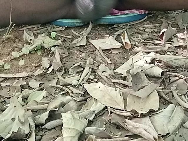 Porn Video Mp4 (Tudu)